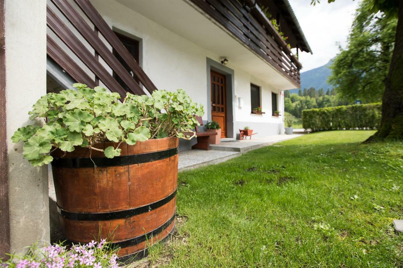 Apartma Pr Gatej Bohinj Exterior foto
