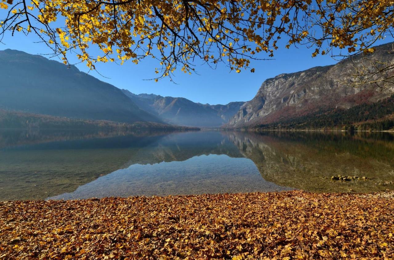 Apartma Pr Gatej Bohinj Exterior foto